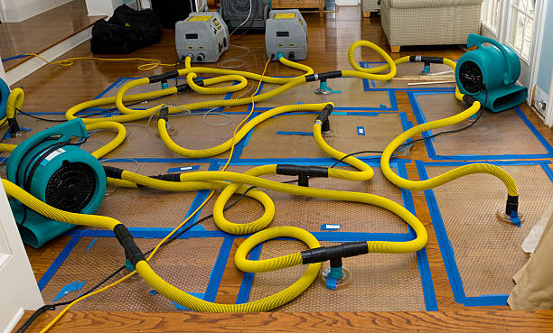 Professional Water Damage Restoration technician working in Gettysburg, SD